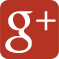 Google +