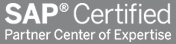sap certified partner excellence