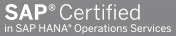 SAP certified hana